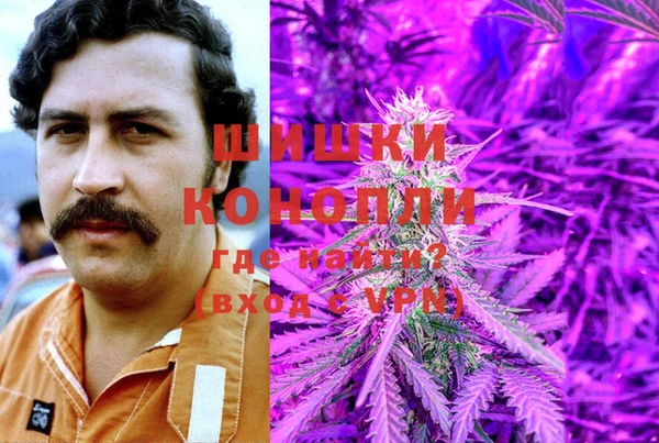 PSILOCYBIN Зерноград