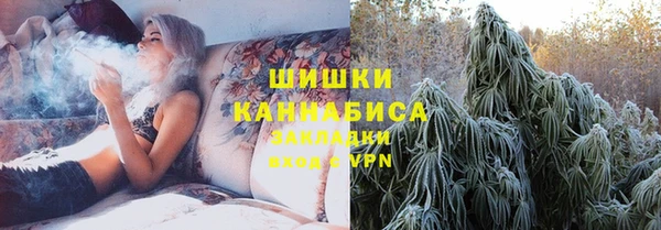 PSILOCYBIN Зерноград