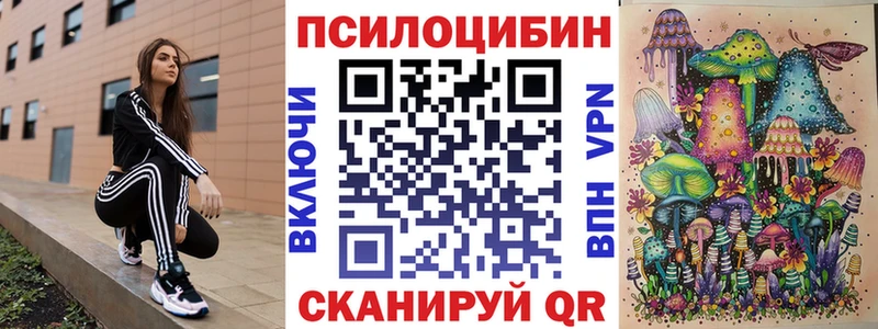 mega ССЫЛКА  Сретенск  Галлюциногенные грибы Psilocybe 